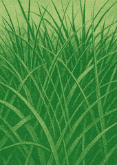 Fototapeta premium Lush green grass illustration.