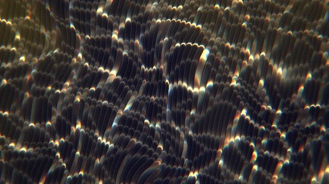 Abstract black and gold water caustics rippling behind fluted glass, elegant luxury light patterns, seamless loop background