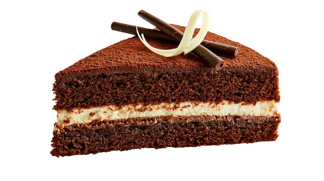 Chocolate sponge cake slice with cream filling and chocolate curls topping