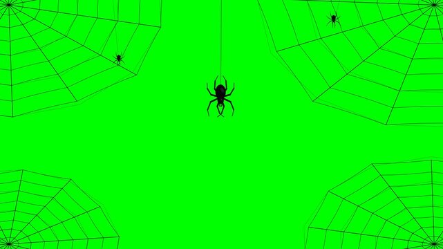 Spooky Spider Web and Crawling Spiders on Green Screen for Halloween and Horror Projects.
