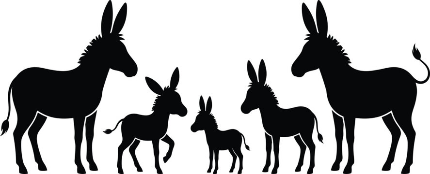 Donkey Family Silhouette Vector Set with Adult Ass and Cute Foal Characters Standing on Isolated White Background for Farms and Wildlife Designs