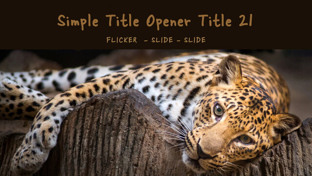 Simple Title Opener Set 1 Title 21
