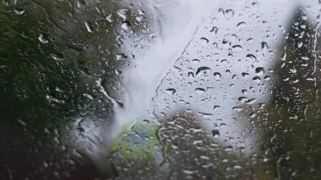 Water droplets cover a window as blurred trees and overcast sky remain visible beyond the glass during steady rainfall