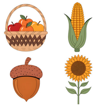 Autumn harvest elements set flat vector illustration with apple basket, corn cob, acorn and sunflower in 2x2 grid