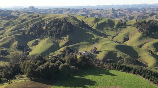 New Zealand aerial view shows Manawatu Whanganui nature with beautiful valleys, lush forests and expansive green fields forming a peaceful landscape for travel tourism