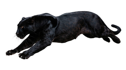 Powerful black panther leaping in mid-air with extended claws © Motruc