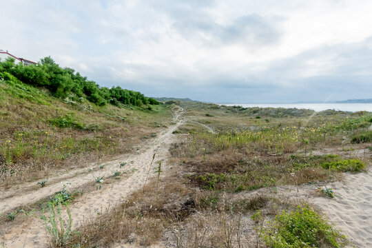 Coastal sandy path and grassy dunes by the sea