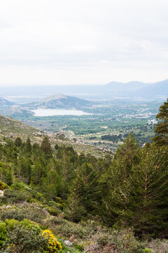 Mountain landscape with forest and distant lake