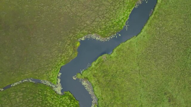 Top down aerial view of a winding dark stream through green peatland in Connemara, Ireland, with marsh vegetation and floating patches in summer.