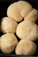 Fresh Lion’s Mane mushrooms (Hericium erinaceus) arranged in a black food tray, highlighting their distinctive white spiny texture for culinary, gourmet food and functional food concepts. © DEWINs