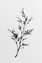 Fototapeta premium Minimalist black ink illustration of a delicate plant on textured paper.