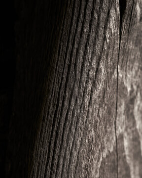 Weathered wooden plank with deep grain and crack in dramatic shadow
