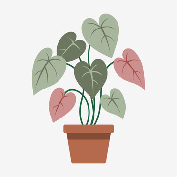 Illustrated Potted Plant with Heart-Shaped Leaves Isolated