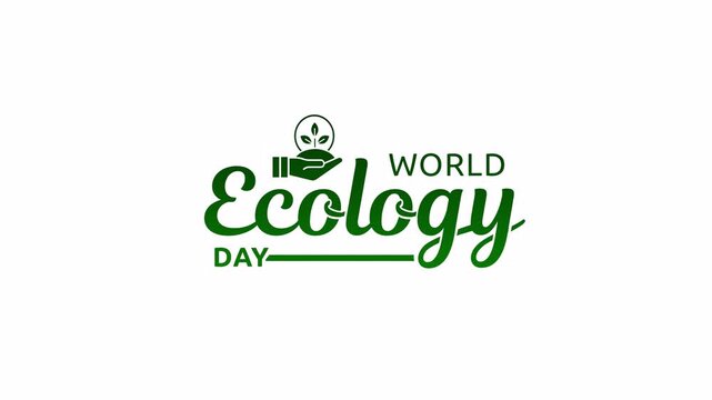 world ecology day text animation with featuring a hand sprout nature symbol.  Great for environmental events and awareness campaigns. Transparent Background
