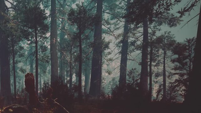 A tranquil forest scene unfolds with sunlight gracefully filtering through the towering trees. Soft shadows dance on the ground as gentle breezes rustle the leaves, creating a serene atmosphere.