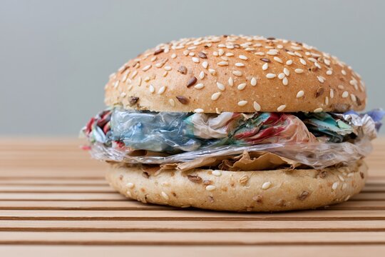 The Garbage-Filled Hamburger With Plastic Wrappers On a Sesame Bun
