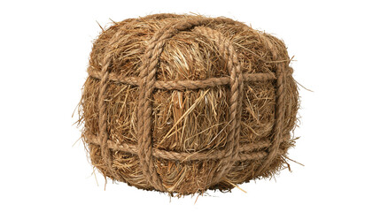 Spherical bundle of dried hay tied with thick natural jute rope © Clementine