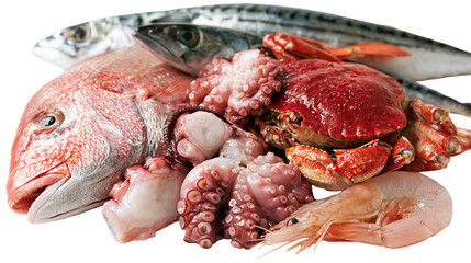 Fresh red snapper whole mackerel raw octopus crab, and shrimp seafood medley © Lysander