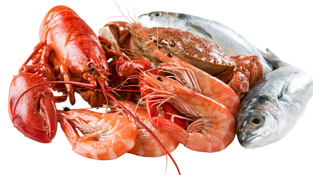 Fresh raw lobster crab shrimp and whole silver fish seafood assortment