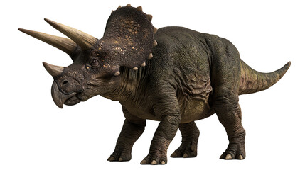 Detailed Triceratops dinosaur with three horns and large bony neck frill © Lysander