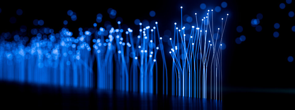 Glowing blue fiber optic strands bending through a digital network field, 3D rendering