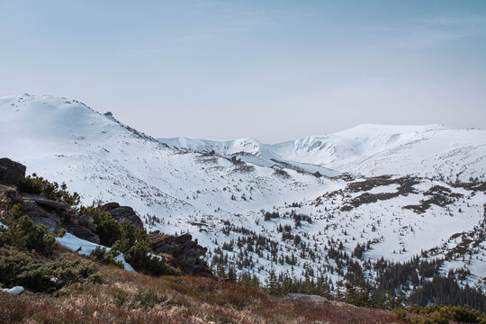 Snow covered mountain range with rocky ridge in winter Carpathians
