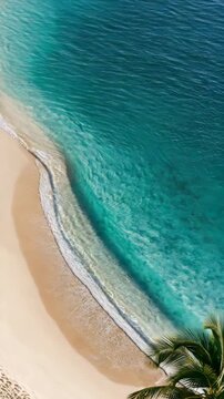 Tropical Beach Shoreline Turquoise Water Vertical Video