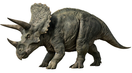 Detailed Triceratops dinosaur with large frill and three sharp horns © Thaddeus