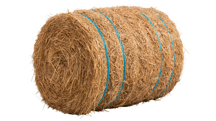 Large round cylindrical hay bale tied with blue plastic twine © Thaddeus