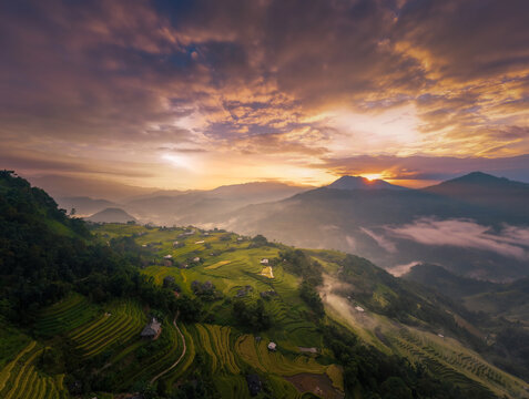 Aerial view of lush green and golden terraced rice fields winding across the mountain hillsides with traditional stilt houses nestled in the landscape of Ban Phung village, Hoang Su Phi, Vietnam