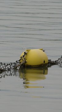 Yellow Buoy and Net Floating on Calm Ocean Water