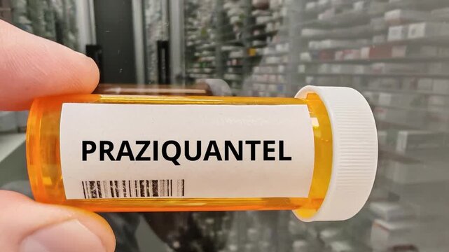 PRAZIQUANTEL anthelmintic for tapeworm and fluke infections
