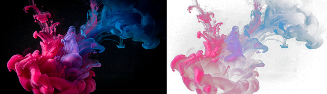 Abstract background of pink and blue ink swirling in water, creating a vibrant cloud of colorful smoke and liquid motion, isolated on transparent background