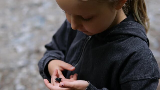 Young girl studies small black beetle in her hands with focused curiosity. Child gently cradles insect outdoors, taking close look at its dark shell against blurred stony path, examining tiny