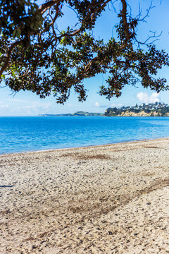 Mission Bay&rsquo;s sandy shoreline meets calm blue water