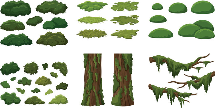 Various green mosses and lichen elements on tree trunks and branches with natural lighting vector illustration
