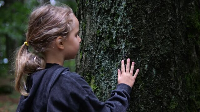 Young girl gently touches tree trunk in quiet forest, resting palm on rough bark. Child connects with nature among woodland greenery, poignant reminder of habitat loss and value of forests.