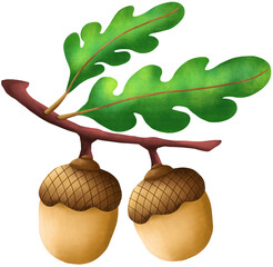 Acorns with Oak Leaves © แป้ง แป้งแป้ง