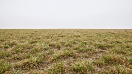 Naklejka premium Wide low-angle view of a flat grassy field stretching to the horizon under an overcast sky