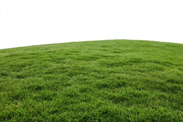 Naklejka premium The Grassy Hill Landscape With Rolling Terrain and Vibrant Green Meadow