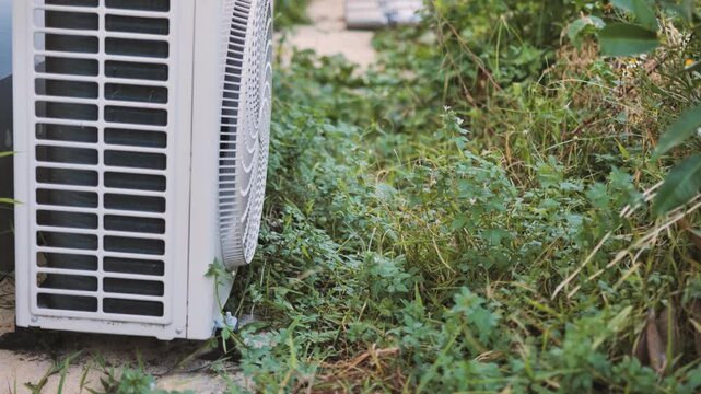 Overgrown Weeds Growing Beside Outdoor Air Conditioner Compressor Unit Posing Maintenance Hazard
