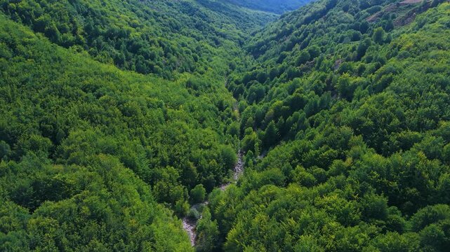 Aerial drone view of the beech forest and countryside landscape in Las Machorras, Las Merindades. Pasiegos Valleys of Burgos. Castile and Le&oacute;n. Spain. Europe