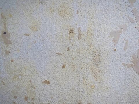 Macro View of Textured Plaster Wall with Glue Stains and Scrap Paper Fragments, Preparing Indoor Wall for New Paint or Wallpaper, Vintage Renovation Surface Texture with Small Paper Peels Close Up