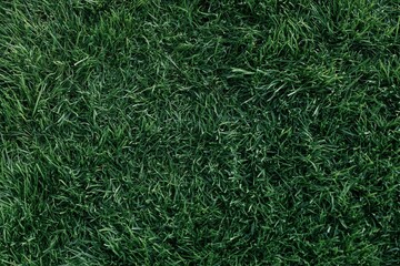 Naklejka premium The Close-Up Grass Texture Capturing Lush Green Fiber Details and Patterns