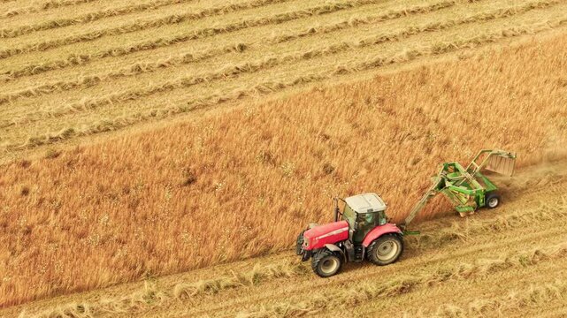 Farm tractor mowing dense hay crop with side mounted mower across rural field. Overhead view reveals cut swaths and working machinery. Hay harvest, cattle feed production and modern farming