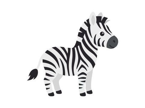 Zebra foal illustration in profile with bold black and white stripes