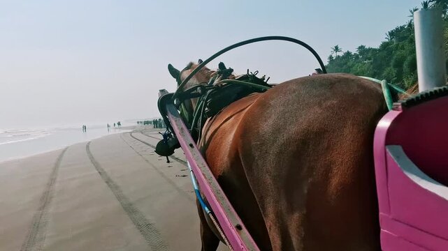 Tourists enjoying a traditional horse drawn carriage ride along the sandy coastline of Parangtritis Beach, Yogyakarta, Indonesia. This scenic travel moment represents Indonesian beach tourism.