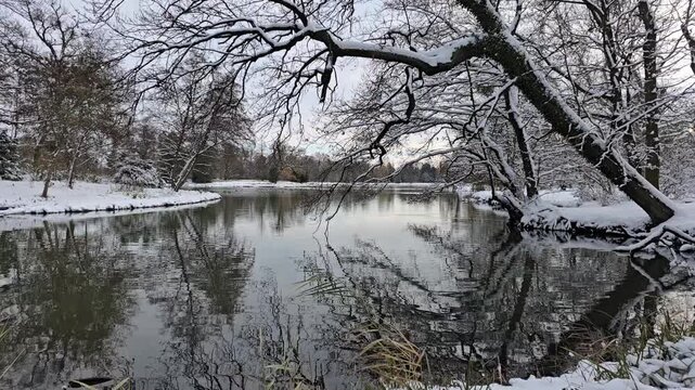 Snow covered trees reflection on calm pond in Lednice park winter