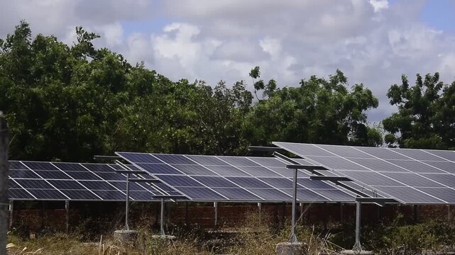 Campo de energia solar em meio a natureza, pain&eacute;is solares sob o sol com &aacute;rvore verdes balan&ccedil;ando ao fundo