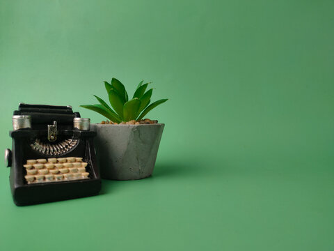 A miniature black vintage typewriter stands next to a potted succulent in a concrete planter on green
